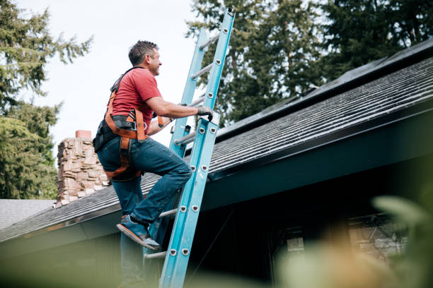 Best Metal Roofing Installation  in Alamo, NV